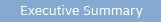 Executive Summary